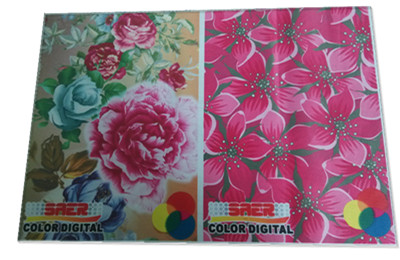 La publicité de l'imprimante de tête d'Epson de colorant pour l'impression de tissu de Digital 1