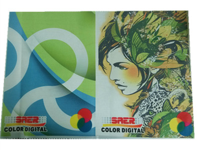 La publicité de l'imprimante de textile de Mimaki de colorant avec la tête d'impression d'Epson DX5 1