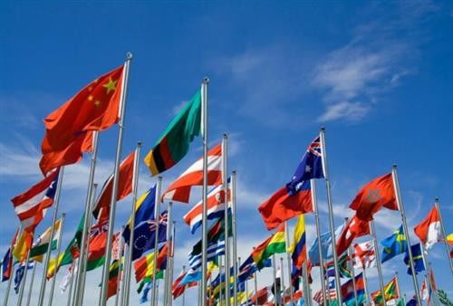 Matériel 100% de tricotage de polyester de tissu imprimé par coutume de chaîne pour la couverture de Tableau