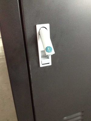 imprimantes de sublimation de colorant de 1.6m Digital Mutoh pour l'impression de drapeau de bannière