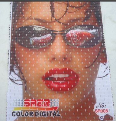 CSR 3200 de Saer de machine d'imprimante de drapeau de Singapour de machine d'impression de grand format