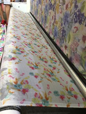 L'ordinateur de machine d'impression de tissu de Digital de logiciel d'onyx commandent directement la sortie