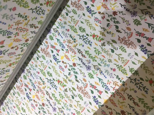 110V / machine d'impression automatique de tissu de système d'impression/jet d'encre du tissu 220V