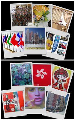 Dirigez le tissu 100% de tricotage de chaîne de polyester de sublimation de tissu d'impression de Digital