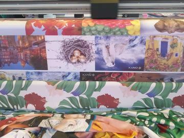 Facile actionnez la machine d'impression faite sur commande de sublimation pour le tissu avec 3 la tête d'impression d'Epson 4720