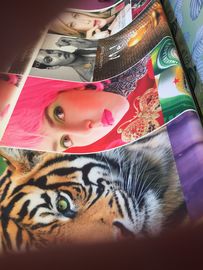 Revêtement 100% de sublimation d'armure de frivolité de tissu d'impression de Digital de polyester